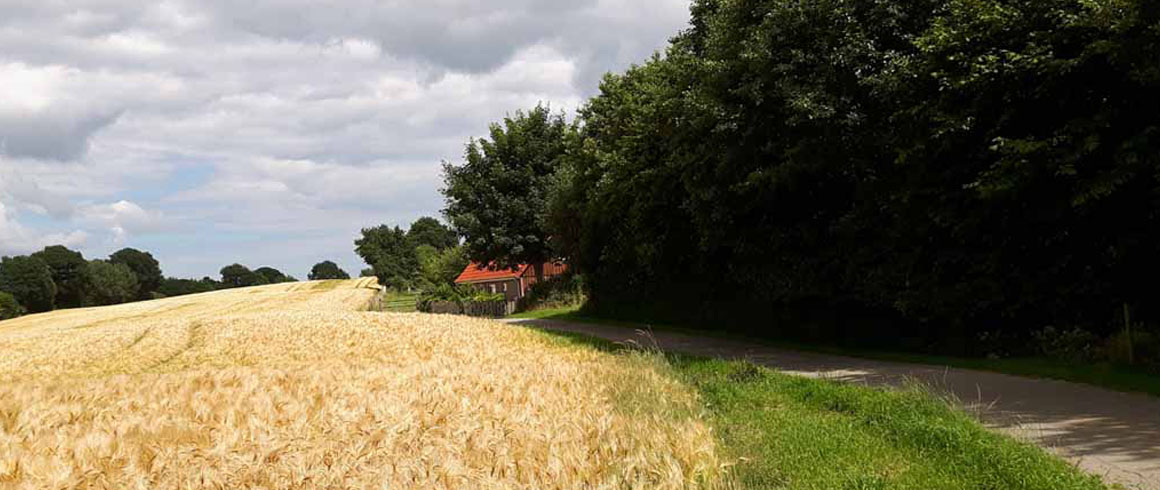 Der Weg zum Haus